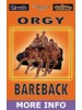 Bareback Orgy