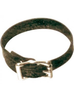 Cock Ring with Buckle